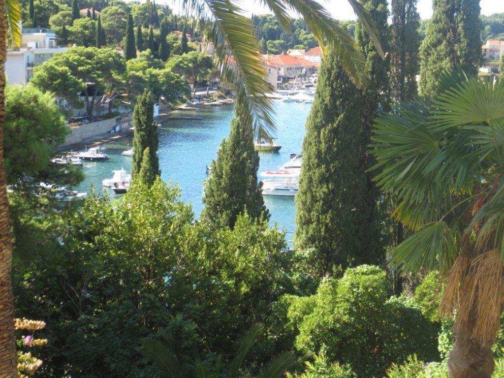 Apartments Garden Beach Superior Cavtat Eksteriør bilde